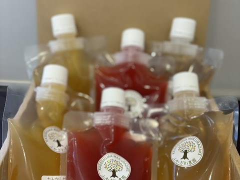 【冬ギフト】まるで果実！！南薩摩の果汁たっぷりゼリー６個箱入り