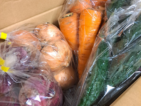 旬＊お試し野菜セット(６～7品目)