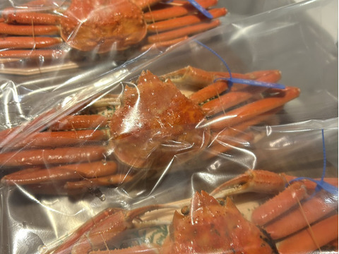 【山陰の旬物】剥く手間なし！松葉ガニ甲羅盛り　大サイズ2入り