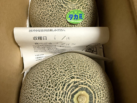 【大玉青肉2玉入り！】

6月下旬より順次発送予定となります。