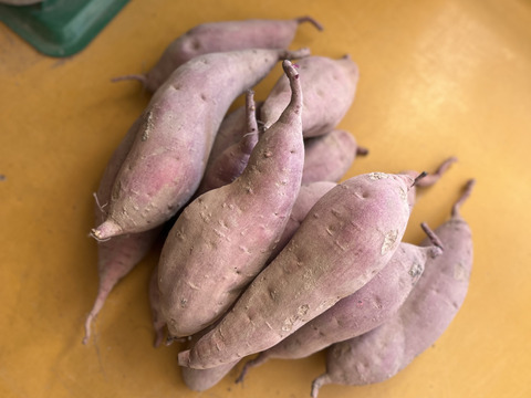 【自然栽培•農薬や肥料に頼らない・さつま芋•紅はるか】Mサイズ3キロ