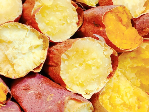 いろんな種類を少しづつ さつまいも3品種セット 家庭用 愛知県産 食べチョク 農家 漁師の産直ネット通販 旬の食材を生産者直送