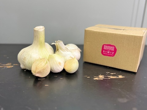 【お試しパック】ジャンボニンニク　５００ｇ　ニンニクの料理に最適