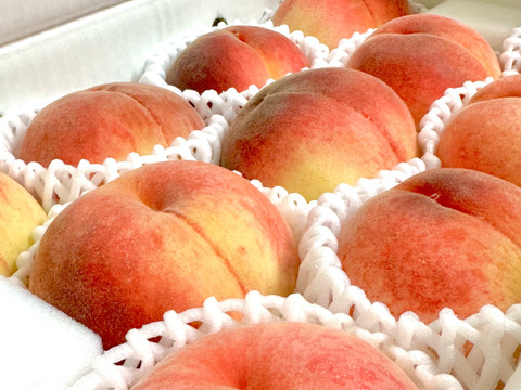 すぐ発送！🍑山梨白桃】約4キロ！特大～大サイズ11～14個