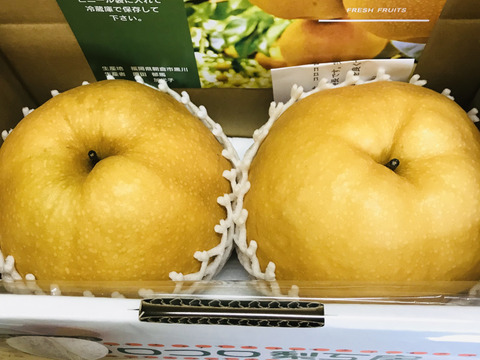 大きさにびっくり‼️【限定1ケース】完熟新高梨3.0kg(超大玉2個入)味に自信あり‼️甘くてとってもフルーティー✨️ブレゼントにもおすすめ😋