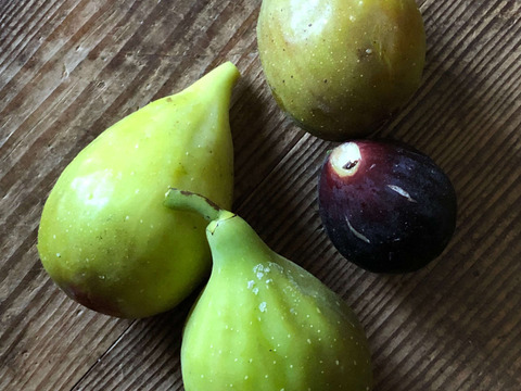 せとうち周防大島　いちじくジャム