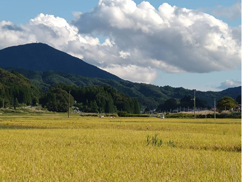 【令和7年新米】　ひとめぼれ　白米　10kg