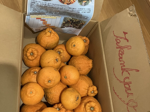 完熟不知火（デコ）家庭用・5kg