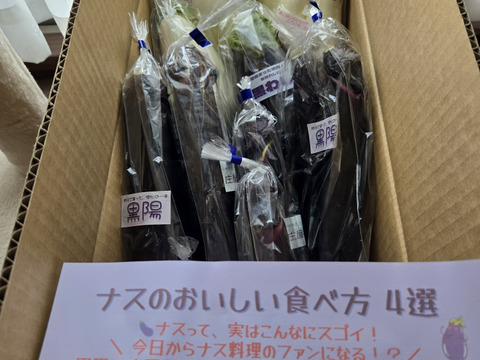 ナス好きのための🍆食べ比べセット3ｋｇ