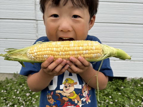 ドルチェドリーム(約5kg/10〜13本入)