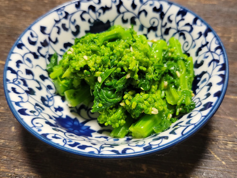 菜の花 恩智川沿いの菜の花】 近鉄東花園駅周辺の恩智川沿いで、菜の花