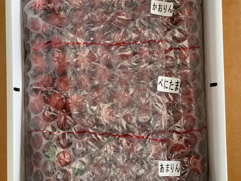 ★値下げ★【埼玉県オリジナル３品種ミックス】小粒たっぷり１Kg🍓
