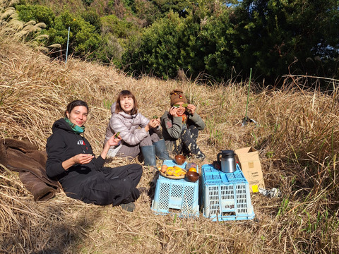お猿さんから守れ！レスキューたんかん　６キロ