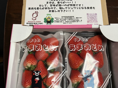 熊本県産　摘みたて新鮮いちご　『あまおとめ』　300g×2パック