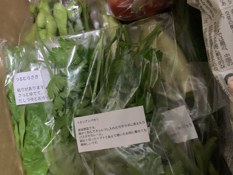 富士山麓、自然栽培(なにも入れない)  野菜たち（10品）