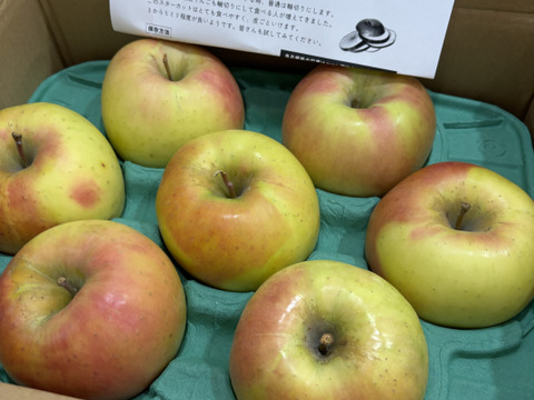 本州、四国宛配送限定　信州産サンふじ、ぐんま名月　約15キロ サンふじ・ぐんま名月詰め合わせ 特秀 15kg 【サンふじ専門農園