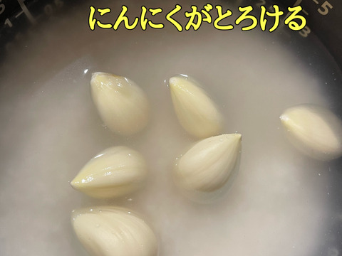 テレビで紹介された生にんにく10玉🧄青森にんにくの王様白玉王👑【月1000箱売れてます】