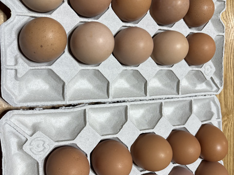 マリーエッグ30玉入り