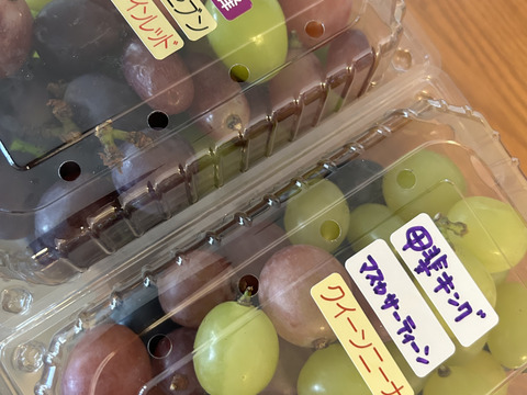 【品種MIX】お買い得♪ぶどうの切り落とし1.5kg