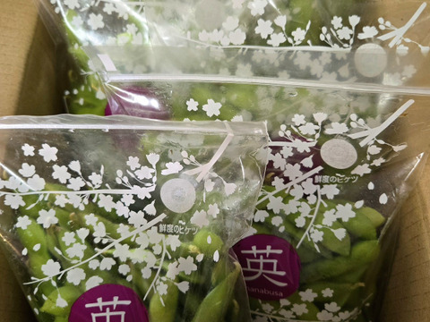 【朝どれ】贈り物にも喜ばれます！茶豆風味の枝豆【英】~はなぶさ~6袋入り