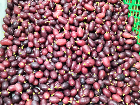 【お買い得】　クイーンセブン　種なし皮ごと　粒販売　2キロ