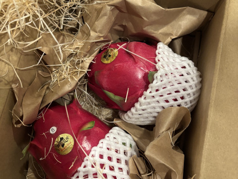 【赤・白】食べ比べセット　紅白セット群馬県産ドラゴンフルーツ1キロ