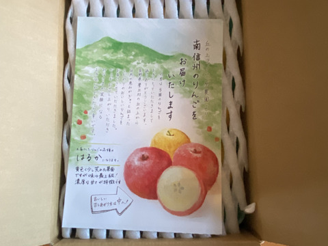 極上の甘さ【はるか】家庭用✨りんご農家が感動！希少品種♡