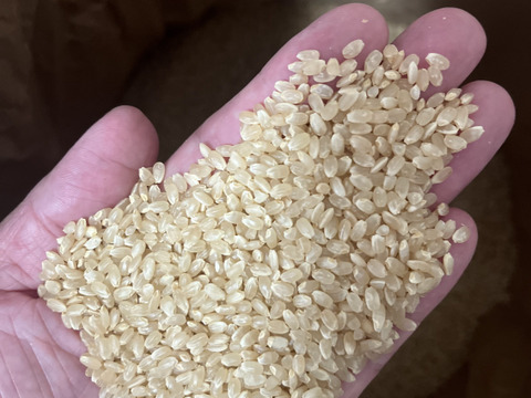 滋賀県高島市朽木産　令和6年産　こしひかり100％　5㎏