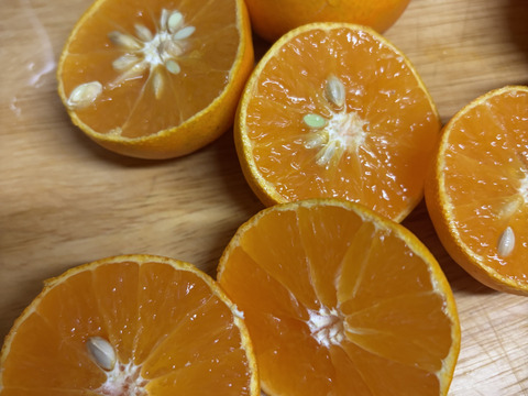 愛媛県産　愛果28号　ご家庭用　5キロ