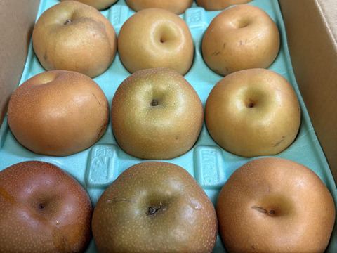 梨　訳あり　10キロバラ詰め