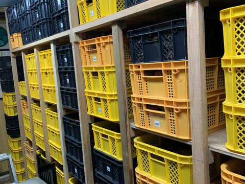 自家育苗・手掘り！　紅はるか　S~2Lサイズ混合　約4.5kg