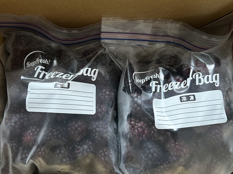 免疫力アップ!　【加工用】冷凍ブラックベリー1kg