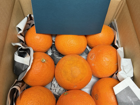 【ゼリーのようなプルプル食感】まどんな 2kg【家庭用】【冬ギフト】