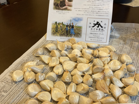 毎年2万箱売れてます！】令和6年新物 500g!! 青森県産にんにく