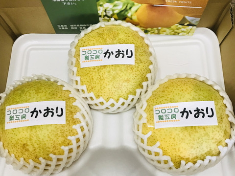 幻の梨⁉️かおり梨】贈答用約2.2kg(大玉2-4個入)✨️メロンのような