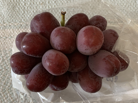 甘く美しい長野県限定品種　クイーンルージュ　800g（2～4房）　家庭用（規格外品）【日時指定不可商品】