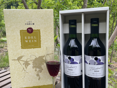 我が家の果実で作ったブルーベリーワイン720ml✖️2本