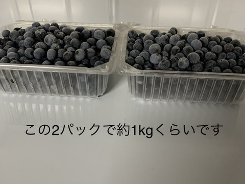 『12/21発送』急速冷凍ブルーベリー4kg