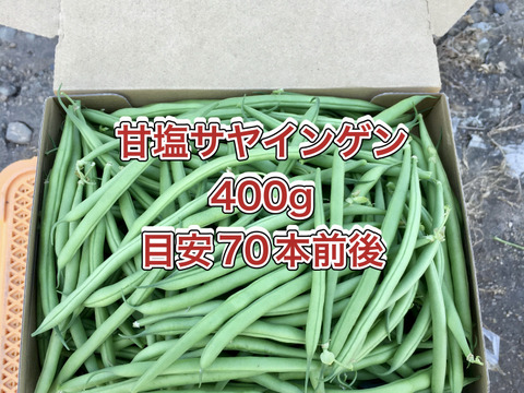 【鹿児島産】甘塩サヤインゲン箱込み400g^_^