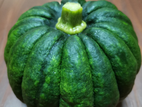 【数量限定】伝統野菜。阿蘇で育った小菊かぼちゃ約1.5㎏（2～3個）