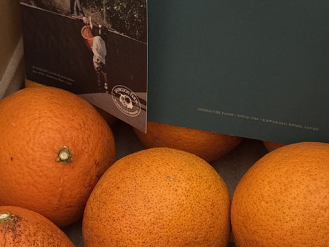 みかんGP2026最高金賞】愛果48号【新品種】甘平×まどんな【紅