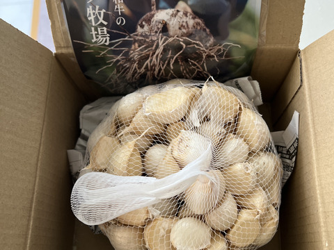 田子町産にんにく１ｋｇ【バラ】