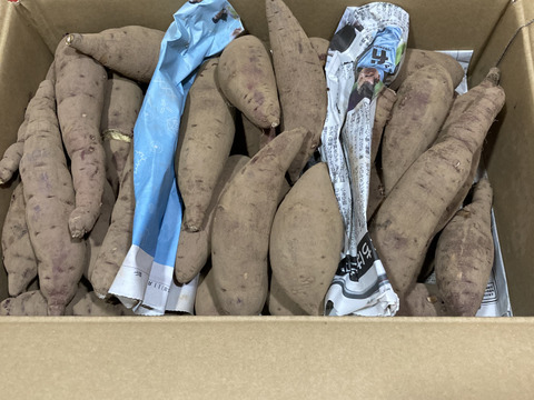 3種　1番人気サイズの食べ比べ❣️S〜Lサイズ
9.8kg