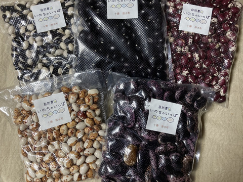 【数量限定】北海道2024年十勝産
珍しい！色々お豆の5種類セット
