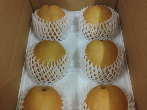 【鳥取産】王秋梨！(5kg)