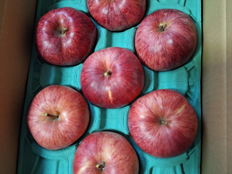 【完売】美紅（みく）ほのかな甘みが食べやすい 家庭用 2.3kg（6～12個）