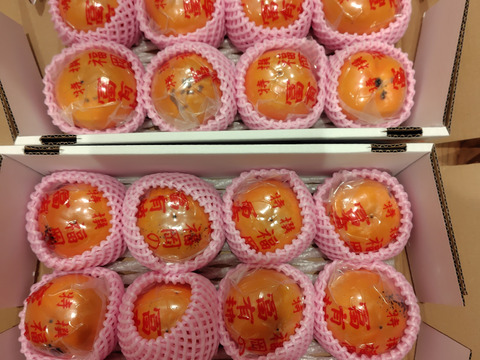 【ご家庭用（『小玉！』・少々キズあり）】冷蔵柿（富有柿）12個前後入り×２箱　福岡県久留米市田主丸町産