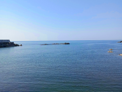 【期間限定】山形県産岩のり -５０ｇ