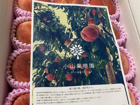 家庭用あかつき桃朝どり直送便3kg(10〜14玉入り)