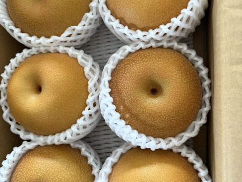 【特別割引、南水２ｋｇ】3980円→3600円！　糖度15°、超甘い、シャリ感、硬い、ジューシー、日保ちする信州生まれの優れもの！③